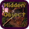 Hidden Object Hot Summer