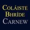 Coláiste Bhríde Carnew