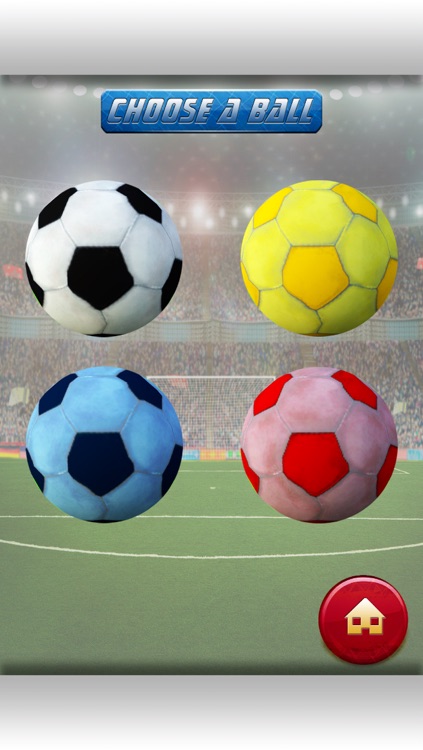 3D Soccer Field Foot-Ball Kick Score - Fun-nest Girl and Boy Game for Free