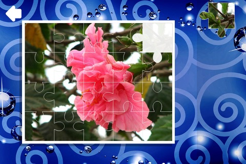 Puzzle Flowers Free screenshot 3