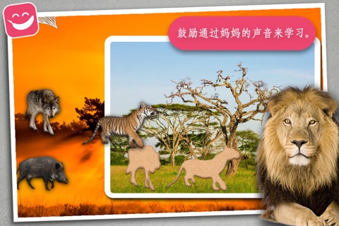 Wildlife Animals Photo Jigsaw Puzzle screenshot 4
