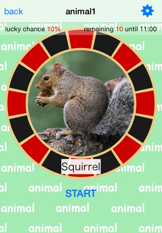 Are you lucky? Animal Spinner screenshot 2