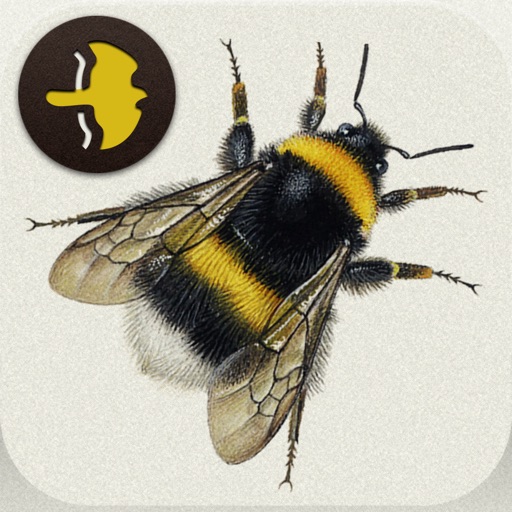 Bumblebees of Britain & Ireland (Basic Edition) icon