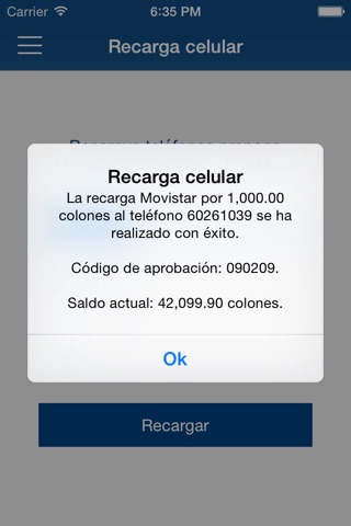 FacilCargas screenshot 2