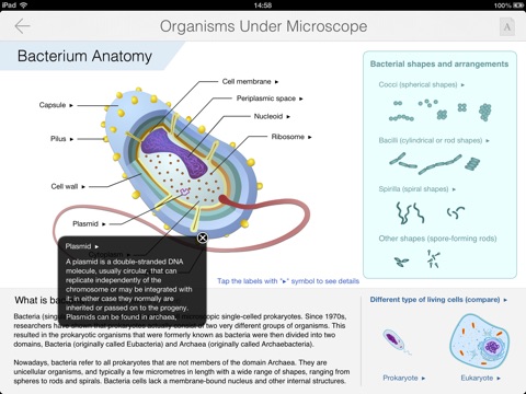 Bacteria Guide screenshot 2