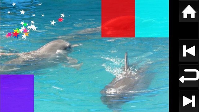 Baby Discover Aquatic(圖1)-速報App