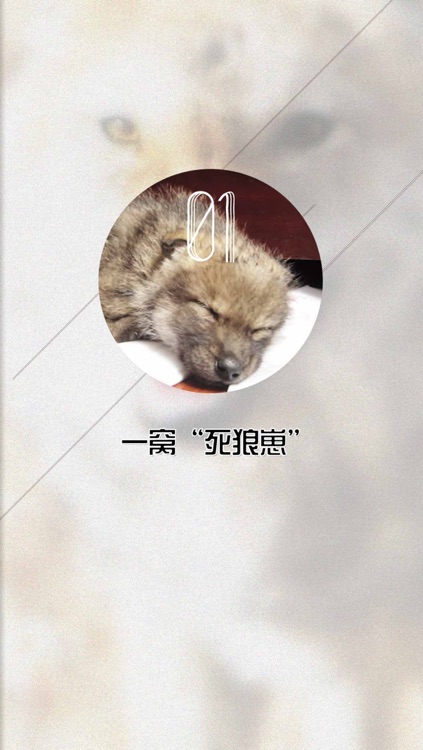 重返狼群 screenshot-4
