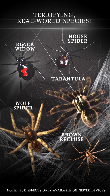 Spider Prank