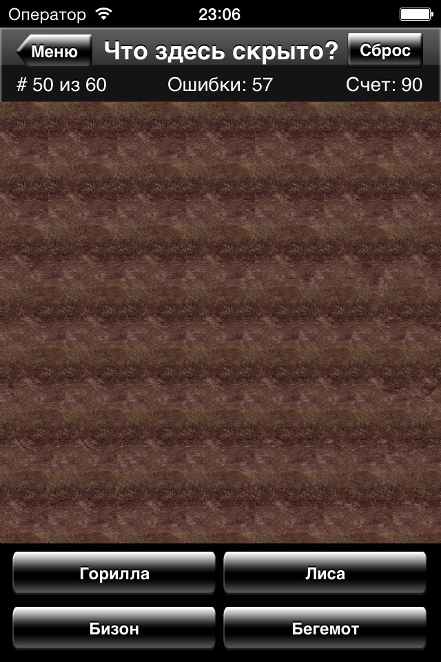 Magic Eye Stereogram Quiz screenshot 4