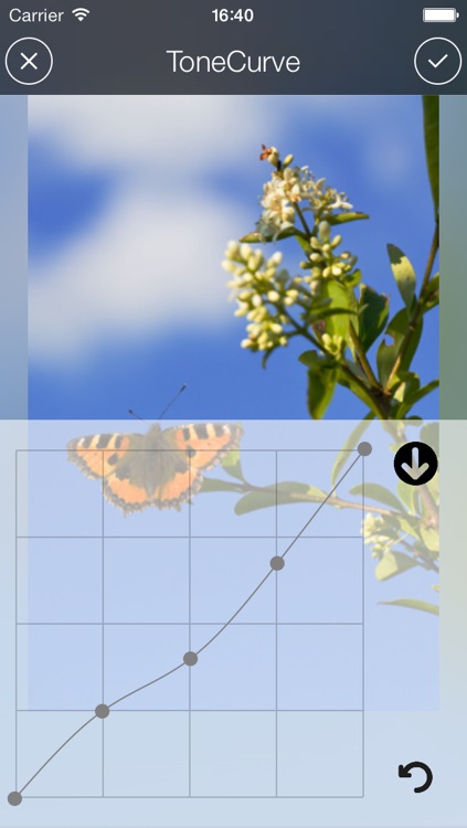 Picoli - easy photo and image editor screenshot-3