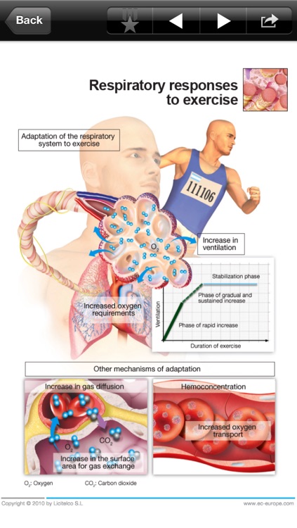 Miniatlas Sports Injuries