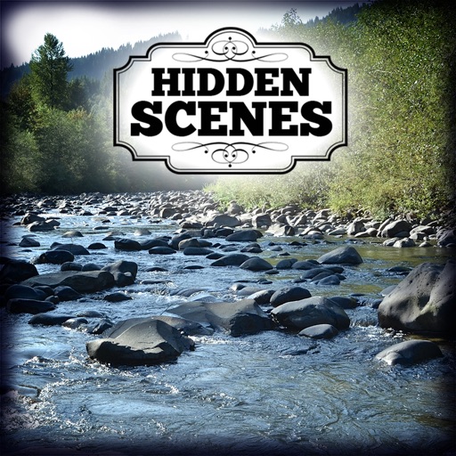 Hidden Scenes - Fathers Day iOS App