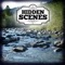 Hidden Scenes is a game similar to a jigsaw puzzle where you swap and flip the pieces to reveal the hidden picture