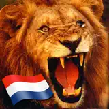 Oranje Soundboard WK 2014 - Icône de l’app