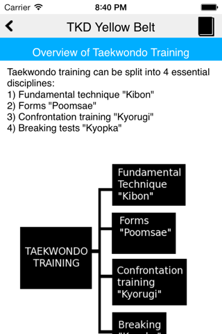 The Taekwondo Yellow Belt screenshot 2