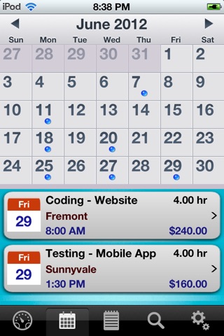 HoursWiz Free - Personal hours keeper, time tracker & timesheet manager screenshot 3