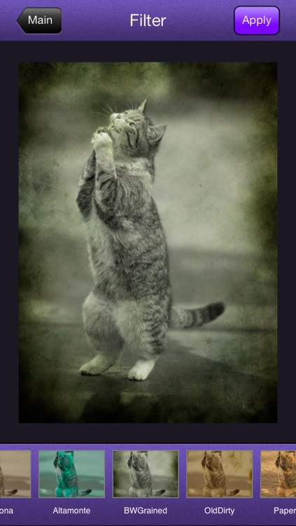 Insta Edit - The Photo Editor App Adds Stickers Effects Filters to Pictures Easy to Use screenshot-4