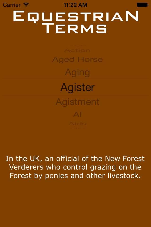 Equestrian Terms screenshot 2