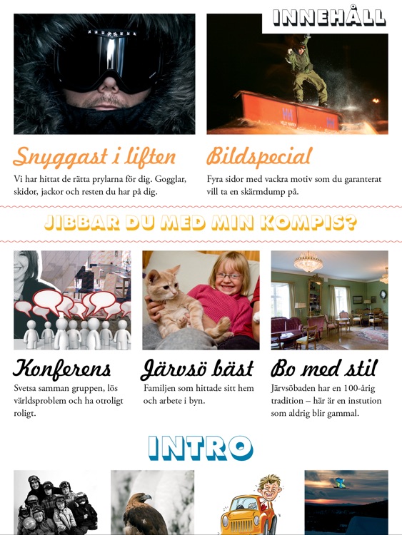 Magasin Järvsö screenshot-3