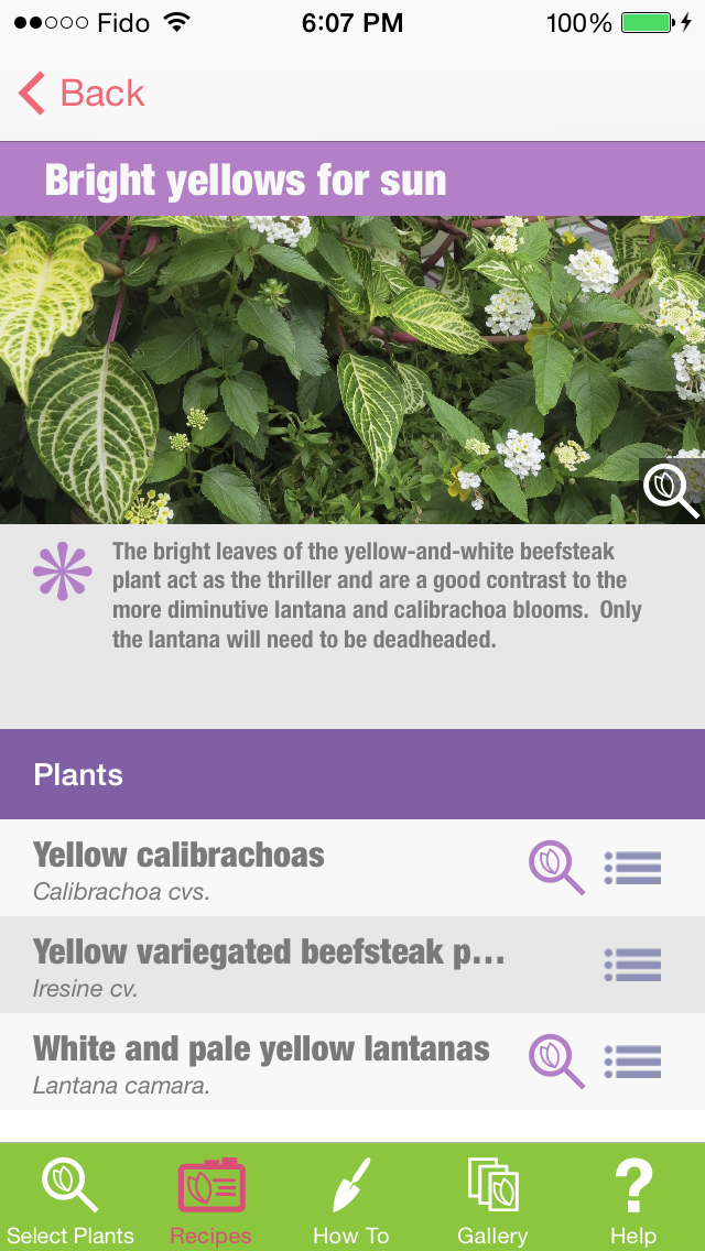 My Garden Containers