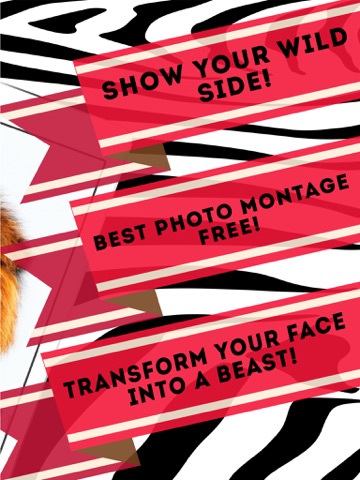 Screenshot #5 pour Animaux Tête Montage Photo - Drôle Éditeur D'image De Visage Avec Les Meilleurs Autocollants