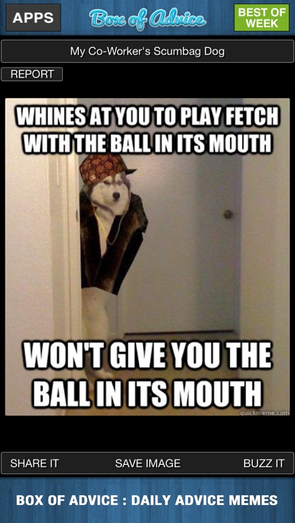 BOX of ADVICE : Daily Advice Memes