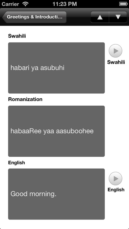 Swahili - LSK screenshot-3