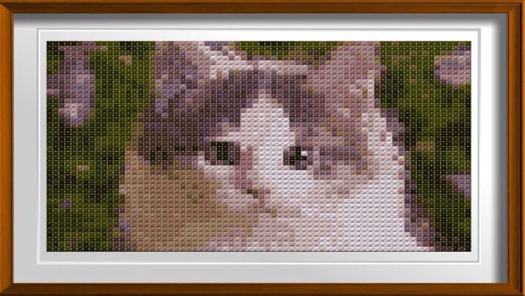 Cross Stitching Cats screenshot-4