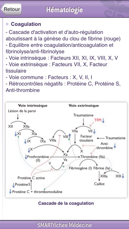 SMARTfiches Hématologie screenshot-4