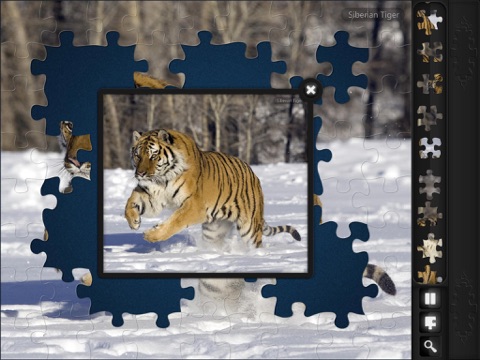 Jigsaw Puzzles: Endangered Species screenshot 4