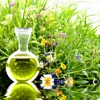 Aromatherapy icon
