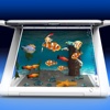 Looksi Aquarium