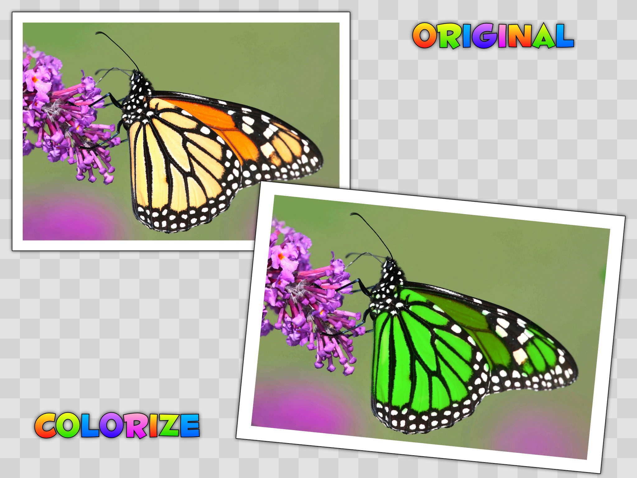 Photo Splat Free screenshot 7