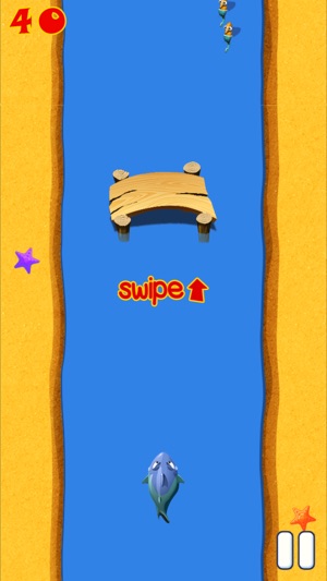 Shark Hunter Racing