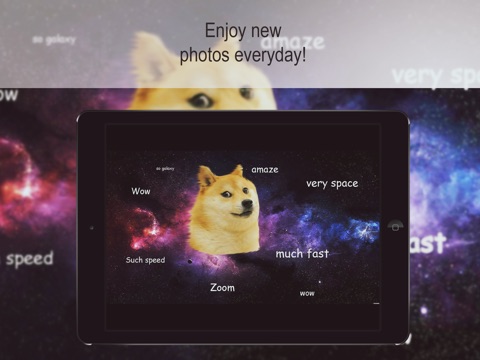 Doge HD Wallpapers Free screenshot 4