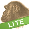 Ape Test Lite - iPhoneアプリ