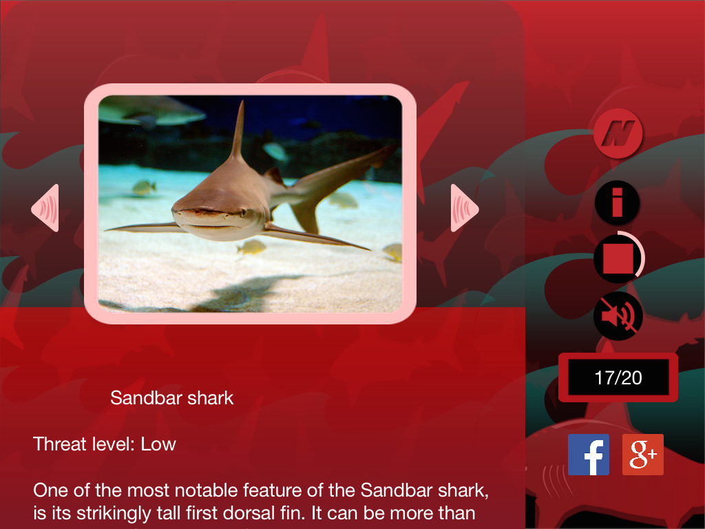 The Best Sharks