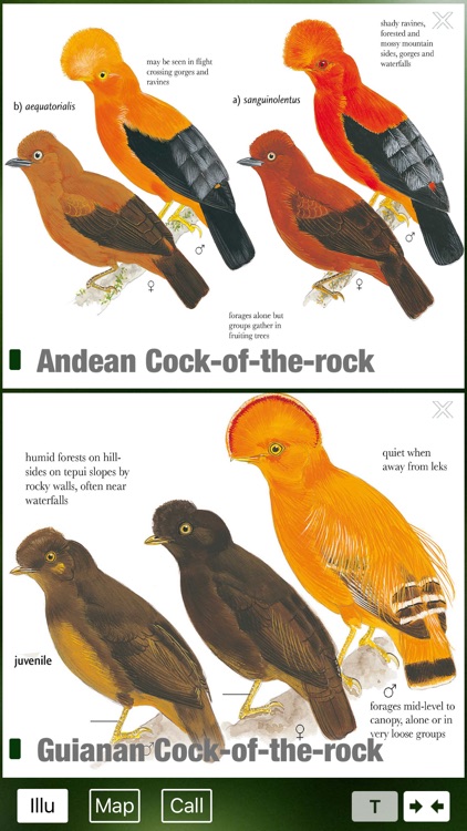 All Birds Colombia - a complete field guide to all the bird species recorded in Colombia screenshot-3