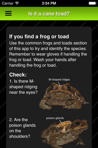 Cane Toad screenshot 4