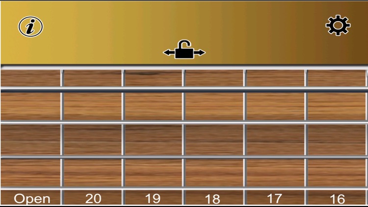 Bass Guitar •