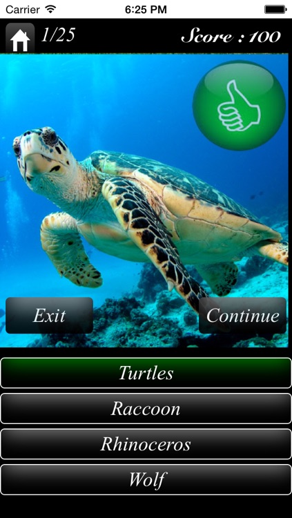 Tile Quiz screenshot-3