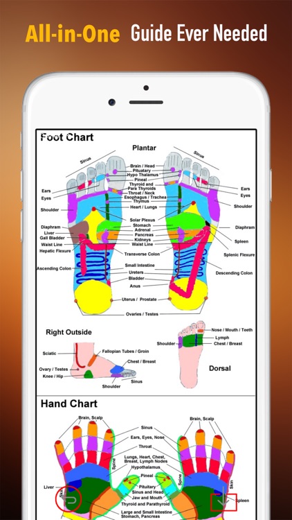 Massage Therapy 101: Therapist Tips with Tutorial Video