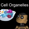 Cell Organelles