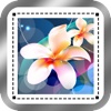 Insta Fitted - Fit and Size any Photo to Fit the Sqaure Sizes for Instagram Resizing