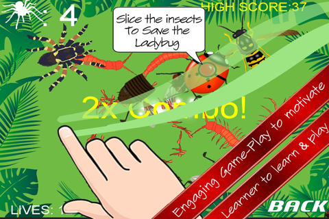 Insects Slice And Learn - Free screenshot 3