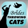 Brides Throwing Cats - The Best Wedding Planner Photos Featuring Flying Cat and Kitten Bouquets