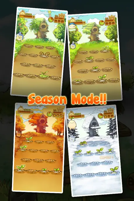 Mandora