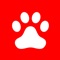 Convert the current age of your dog or cat to human years with a few taps