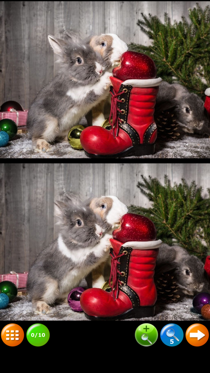 Find Differences New Year