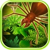 3D Jungle Creep Running Race Battle By Animal Escape Racing Challenge Games Free